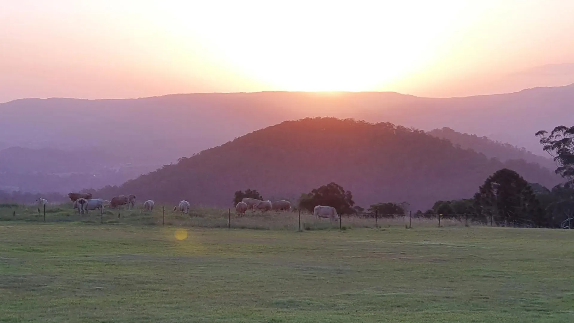 Couette-café Bed and Breakfast Modern Couples Getaway à Witta Australie